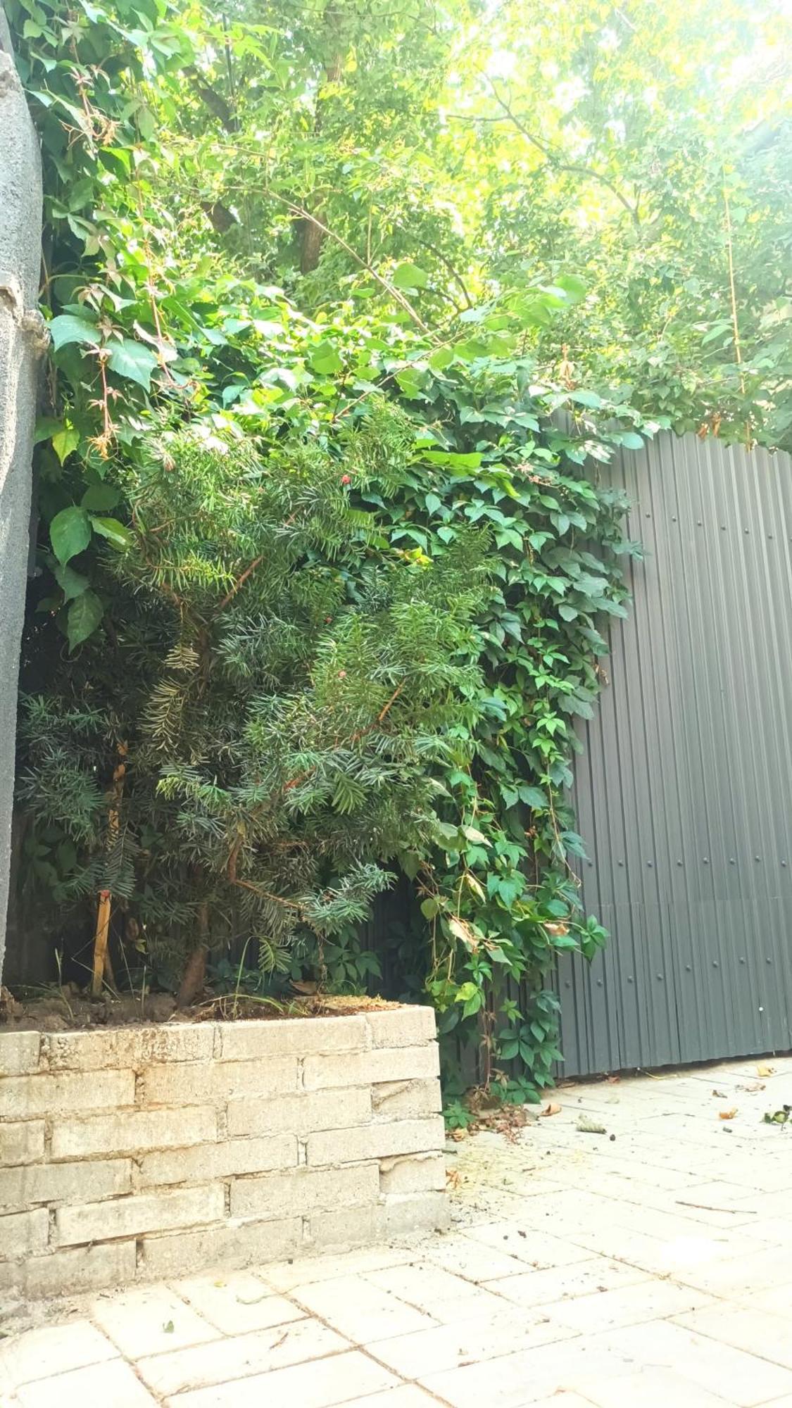 Littlehouse- Entire Property For Maximum 4 People 布加勒斯特 外观 照片